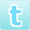 Twitter Logo