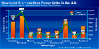 New-build U.S. biomass-fired power units